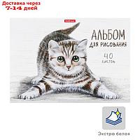 Альбом для рисования А4, 40 листов на клею Tabby, обложка мелованный картон 170 г/м2, жёсткая подложка, блок