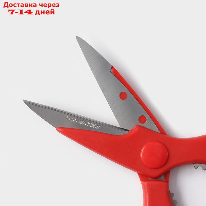 Ножницы кухонные Доляна "Вега", 20 см, цвет МИКС - фото 4 - id-p226922769
