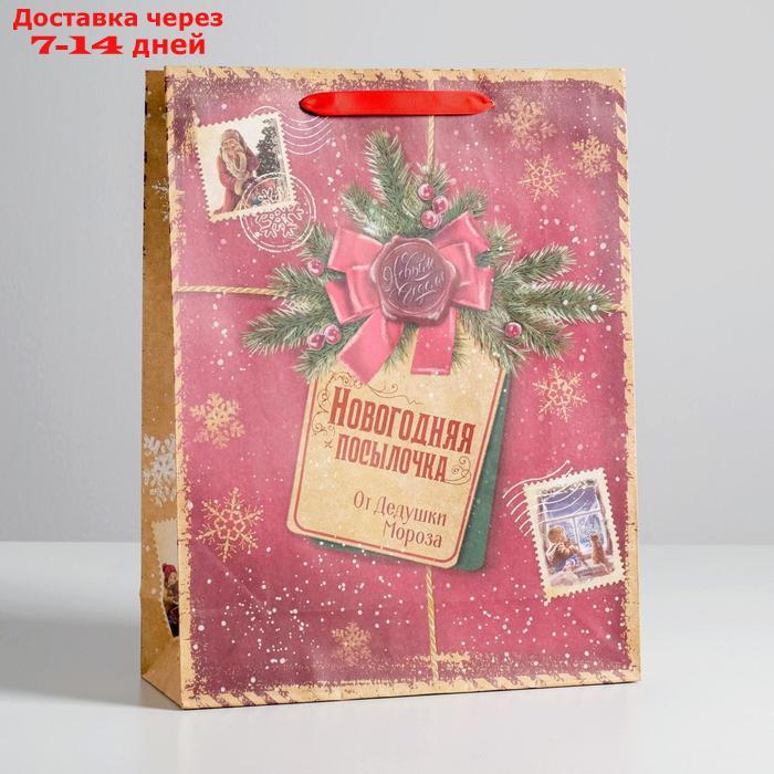 Пакет крафтовый вертикальный "Новогодняя посылочка от Дедушки Мороза", L 31 × 40 × 9 см - фото 1 - id-p226930962