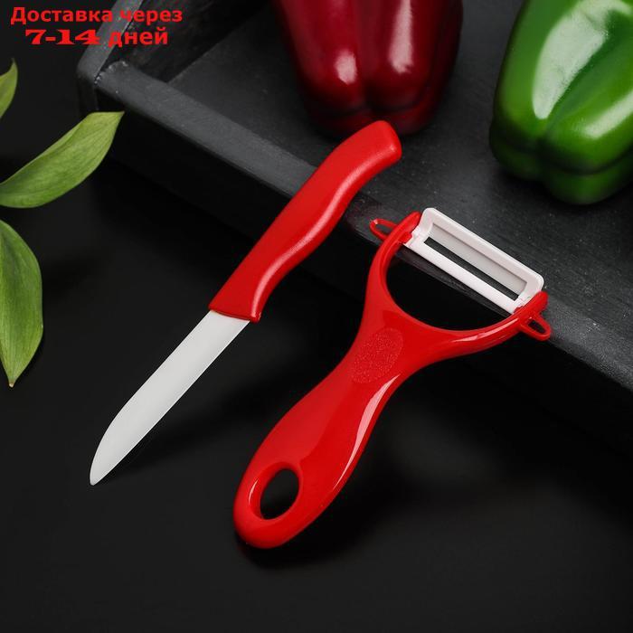 Набор кухонный, 2 предмета: нож 7 см, овощечистка цвет МИКС - фото 1 - id-p226922840