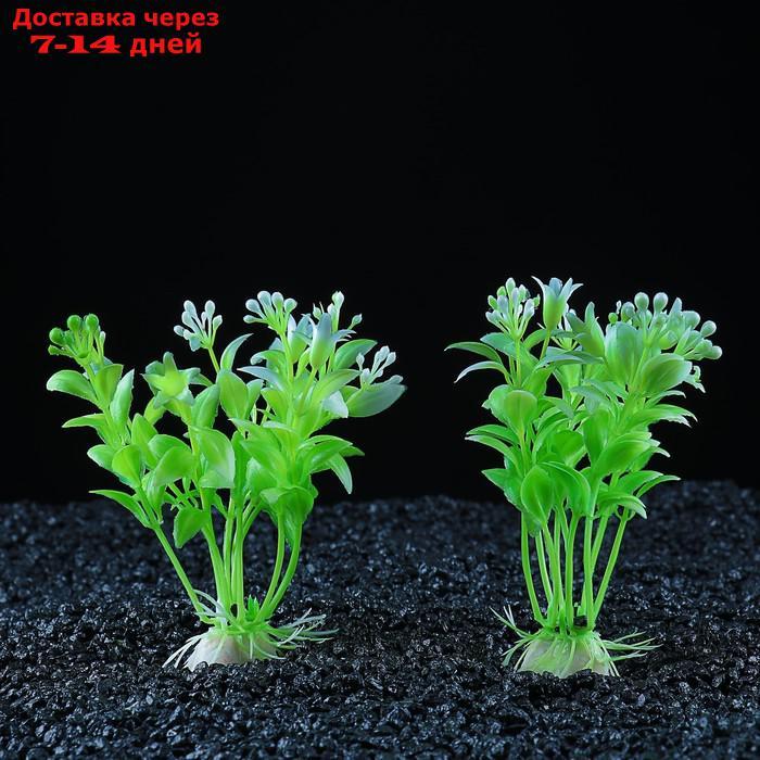 Набор растений искусственных для аквариума (2 шт), 12 см - фото 1 - id-p226946743