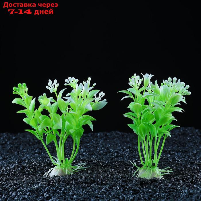 Набор растений искусственных для аквариума (2 шт), 12 см - фото 2 - id-p226946743