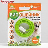 Биоошейник антипаразитарный "ПИЖОН" для собак от блох и клещей, зелёный, 65 см