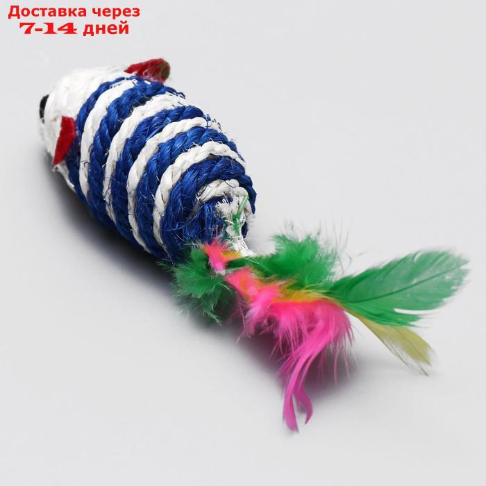 Набор игрушек для кошек: мышь и шарики из сизаля и пластика, микс цветов - фото 3 - id-p226940876