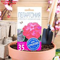 Семена цветов Пеларгония "Стелла", F1, розовая с коричневым листом, 4 шт