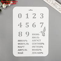 Трафарет пластик "Вечный календарь", высота цифры 3 см, 22х31 см