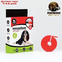 Биоошейник антипаразитарный "Пижон Premium" для собак, красный, 65 см