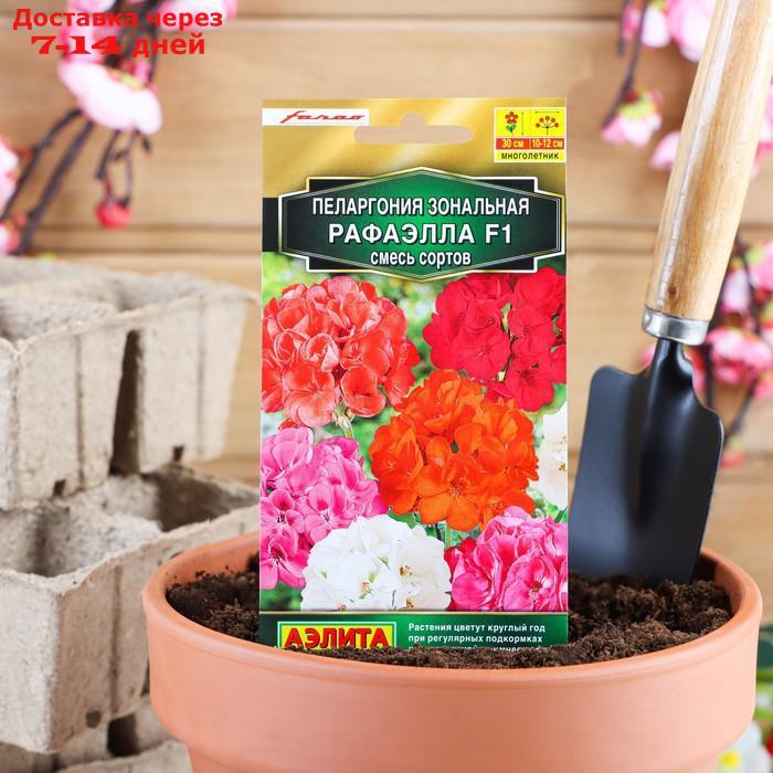 Семена комнатных цветов Пеларгония "Рафаэлла F1", смесь окрасок, Мн, 5 шт - фото 1 - id-p226932473