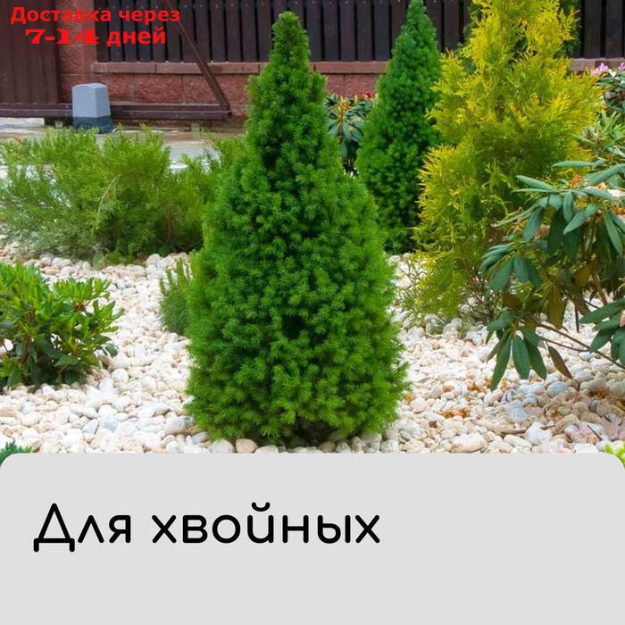 Набор для укрытия растений: металлический каркас, h = 0,8 м, d = 0,35 м, спанбонд с УФ-стабилизатором, - фото 6 - id-p226943128