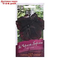 Семена цветов Петуния "Черный бархат" F1 крупноцветковая, О, гранулы, пробирка 5 шт.