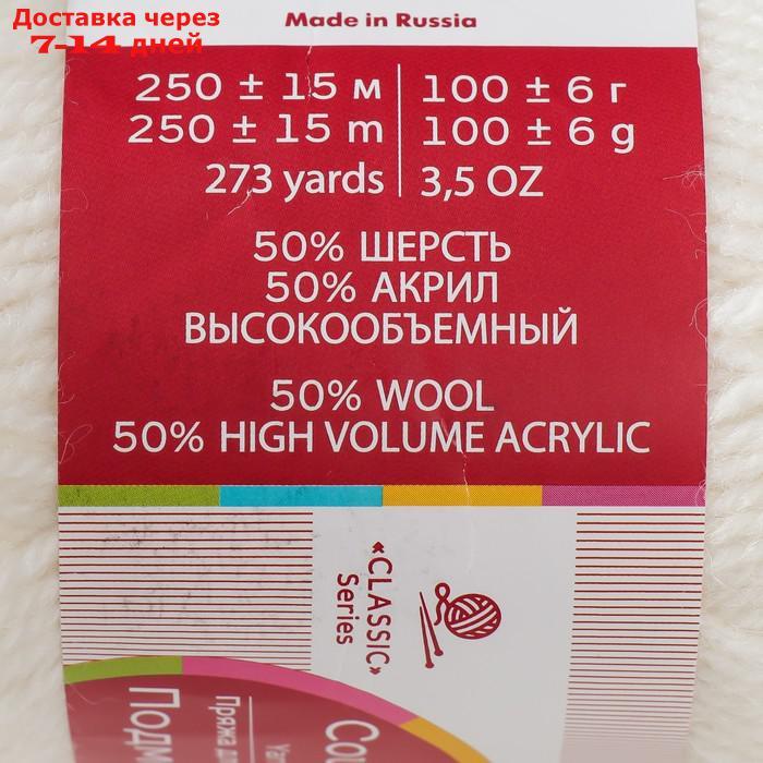 Пряжа "Подмосковная" 50% шерсть, 50% акрил 250м/100гр (01, белый) - фото 4 - id-p226934952