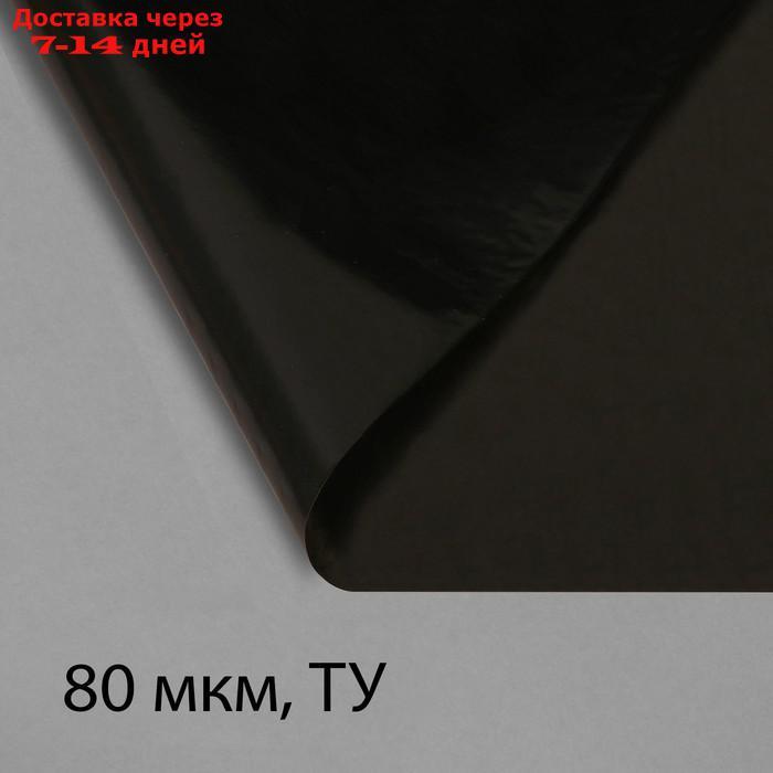 Плёнка полиэтиленовая, техническая, толщина 80 мкм, 3 × 10 м, рукав (1,5 м × 2), чёрная, 2 сорт, Эконом 50 % - фото 1 - id-p226932616