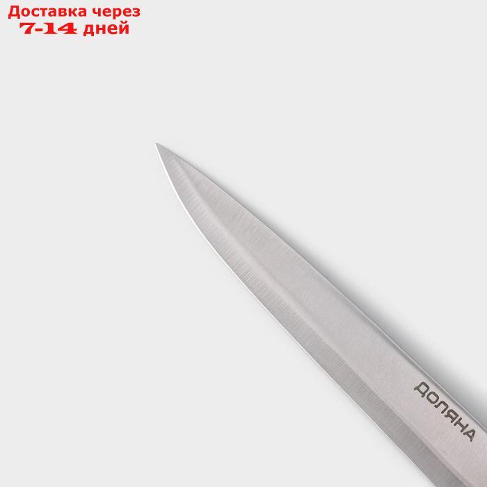 Нож кухонный "Кронос", лезвие 20 см - фото 3 - id-p226925593