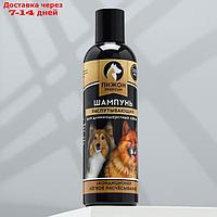 Шампунь-кондиционер "Пижон Premium" распутывающий, для длинношерстных собак, 250 мл