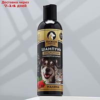 Шампунь-кондиционер "Пижон Premium" для кошек и собак, с ароматом малины, 250 мл