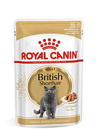Влажный корм для кошек Royal Canin British Shorthair Adult (соус)