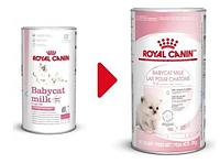 Сухое молоко для котят Royal Canin Babycat Milk