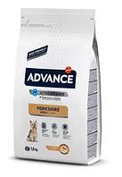 Сухой корм для йорка Advance Dog Yorkshire Terrier (курица) 1,5 кг