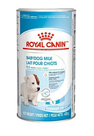 Сухое молоко для щенков Royal Canin Babydog Milk 0.4 кг