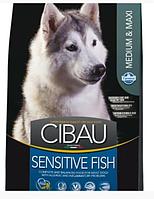 Сухой корм для собак Farmina Cibau Sensitive Fish Medium & Maxi 2.5 кг