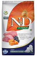 Сухой корм для щенков Farmina N&D GF Pumpkin Lamb & Blueberry Puppy Medium & Maxi (ягненок, тыква, черника) 12