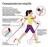 Палки-трость телескопические для скандинавской (спортивной) ходьбы NAMKABAW, фото 4