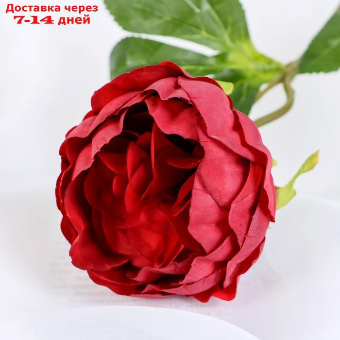 Цветок искусственный "Пышный пион" 7х47 см бордовый - фото 2 - id-p226952002