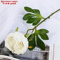 Цветок искусственный "Пышный пион" 7х47 см белый