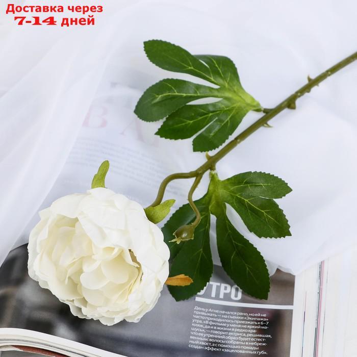 Цветок искусственный "Пышный пион" 7х47 см белый - фото 1 - id-p226952004