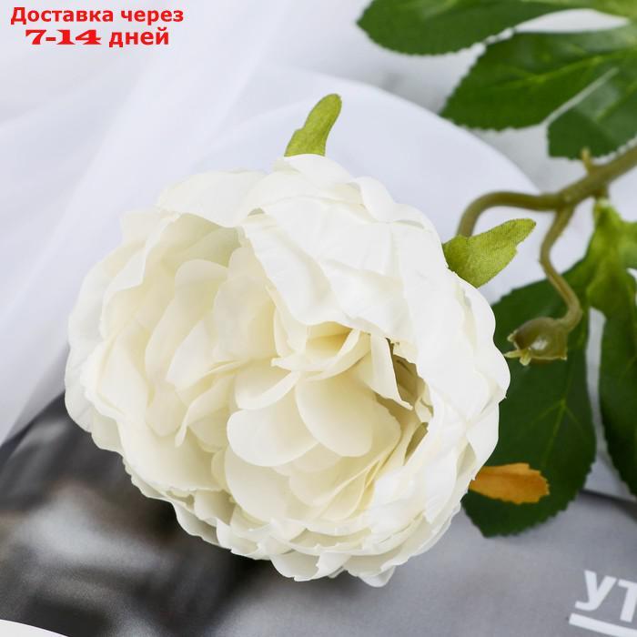 Цветок искусственный "Пышный пион" 7х47 см белый - фото 2 - id-p226952004