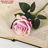 Цветы искусственные "Роза венесуэльская" 8*23 см, розовая