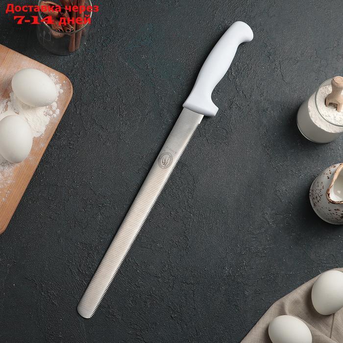 Нож для бисквита, мелкие зубчики, ручка пластик, рабочая поверхность 29,5 см (12") - фото 1 - id-p226952410