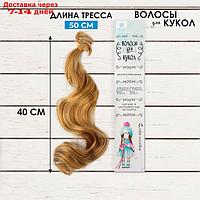 Волосы - тресс для кукол "Кудри" длина волос: 40 см, ширина:50 см, №18