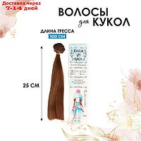 Волосы - тресс для кукол "Прямые" длина волос: 25 см, ширина:100 см, цвет № 12