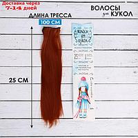 Волосы - тресс для кукол "Прямые" длина волос: 25 см, ширина:100 см, цвет № 13