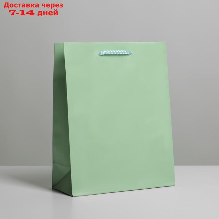 Пакет ламинированный "Зелёный", MS 18 х 23 х 8 см - фото 1 - id-p226971840