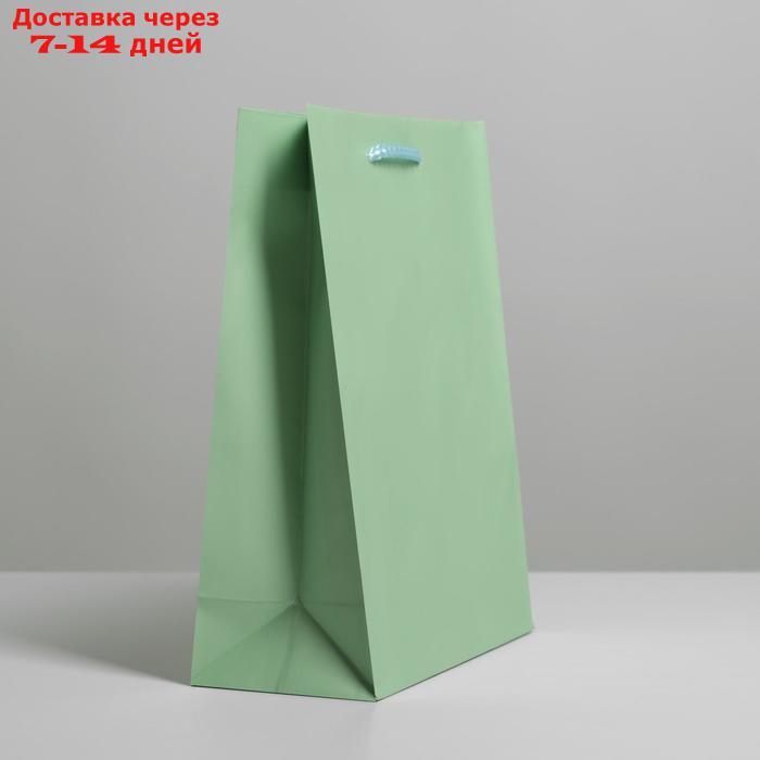 Пакет ламинированный "Зелёный", MS 18 х 23 х 8 см - фото 2 - id-p226971840