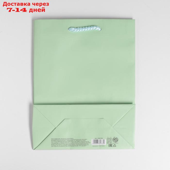 Пакет ламинированный "Зелёный", MS 18 х 23 х 8 см - фото 4 - id-p226971840