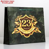 Пакет ламинированный горизонтальный "С 23 февраля", ML 27 × 23 × 8 см