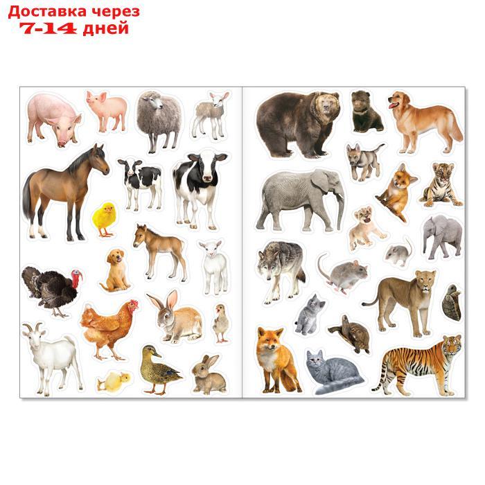 Многоразовые наклейки набор "Такие разные животные", А4, 2 шт. - фото 3 - id-p226965092