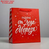 Пакет ламинированный вертикальный "Подарок от Деда Мороза", ML 23 × 27 × 11,5 см