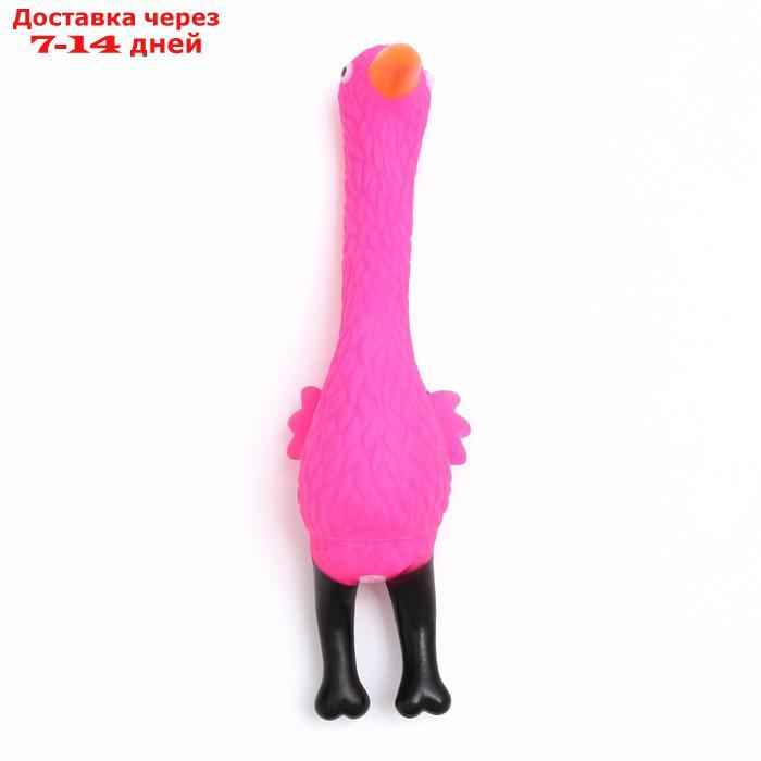 Игрушка пищащая "Фламинго" для собак, 22,5 см, розовая - фото 2 - id-p226979911