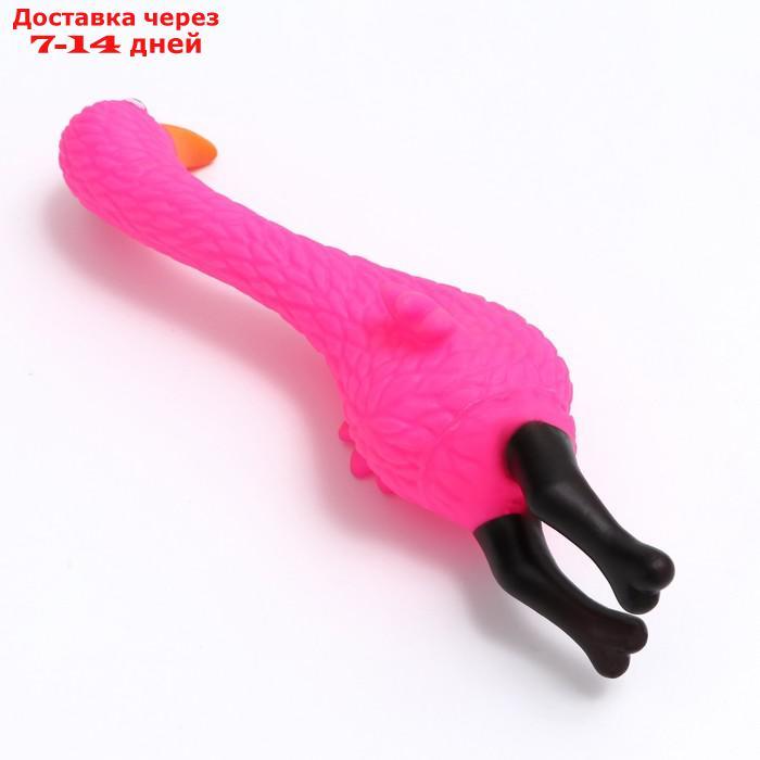 Игрушка пищащая "Фламинго" для собак, 22,5 см, розовая - фото 3 - id-p226979911