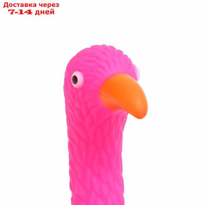 Игрушка пищащая "Фламинго" для собак, 22,5 см, розовая - фото 4 - id-p226979911