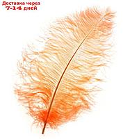 Перо для декора, длина от 45 до 60 см, цвет нежно-коралловый