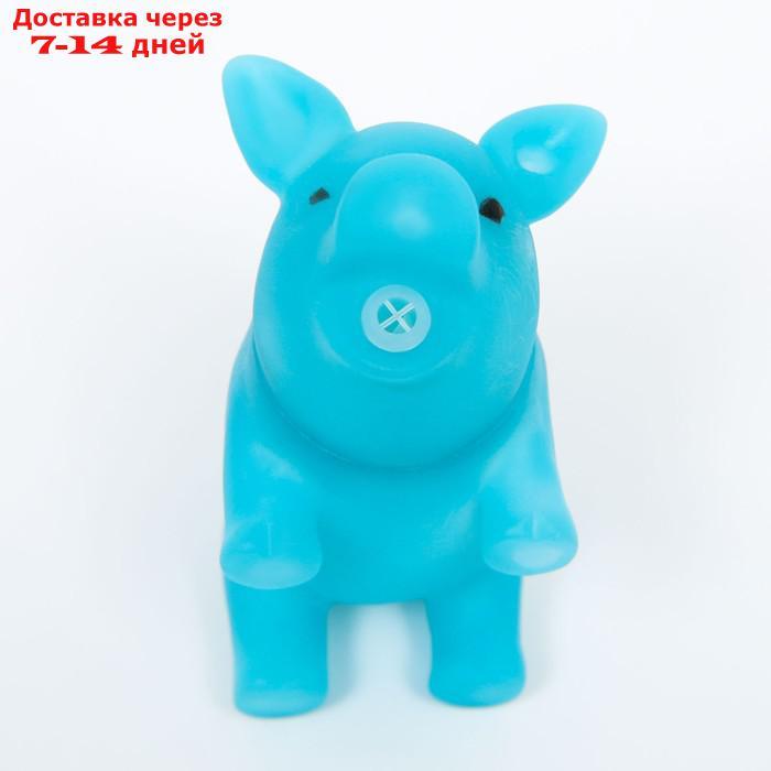 Игрушка пищащая "Маленький поросенок" для собак, 9 см, голубая - фото 4 - id-p226970922
