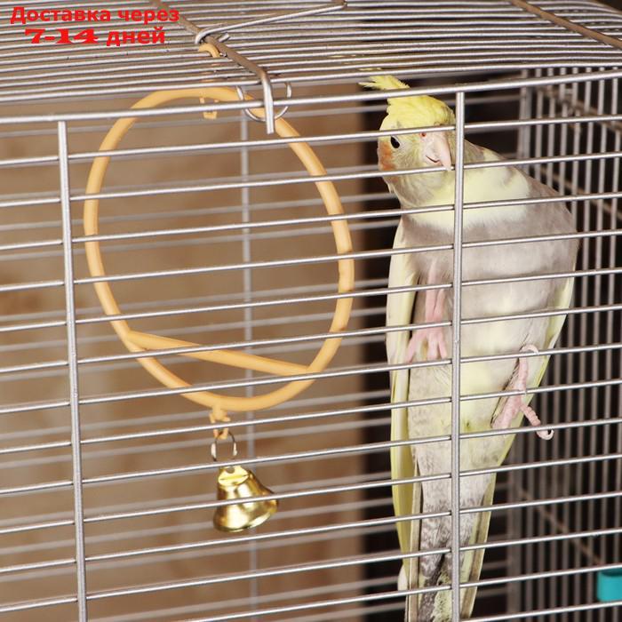 Качели для птиц круглые d 11,5 см, с колокольчиком, бежевые - фото 1 - id-p226970937