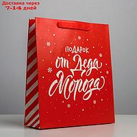 Пакет ламинированный вертикальный "Подарок от Деда Мороза", M 26 × 30 × 9 см