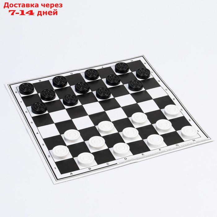 Набор шахматы и шашки, шахм. поле,фигуры пластик, король h=7 см,пешка h=4 см, d шашки=2.9 см - фото 2 - id-p226956613