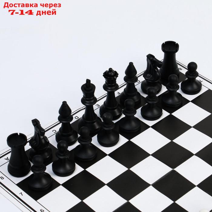 Набор шахматы и шашки, шахм. поле,фигуры пластик, король h=7 см,пешка h=4 см, d шашки=2.9 см - фото 3 - id-p226956613